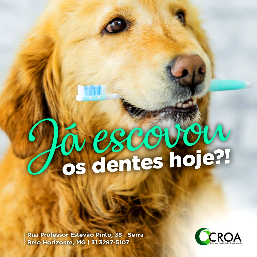Peça 1 do projeto: Marca, site e marketing digital para uma clínica de reabilitação odontológica